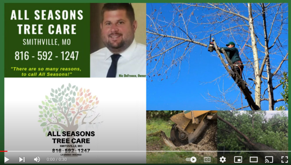 All Seasons Tree Care Services for the KC Northland