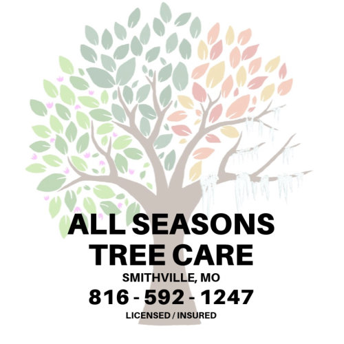 All Seasons Tree Care Tree Logo - KC Northland