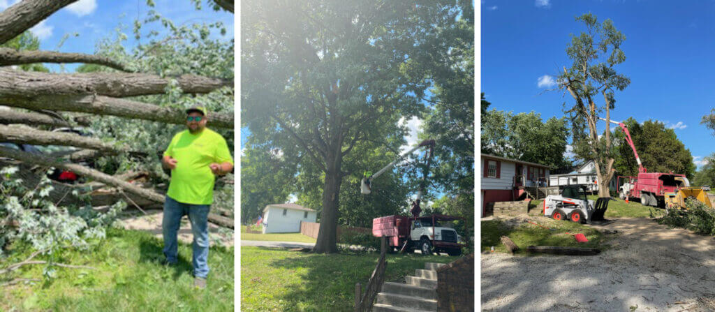 All Seasons Tree Care for Liberty Missouri