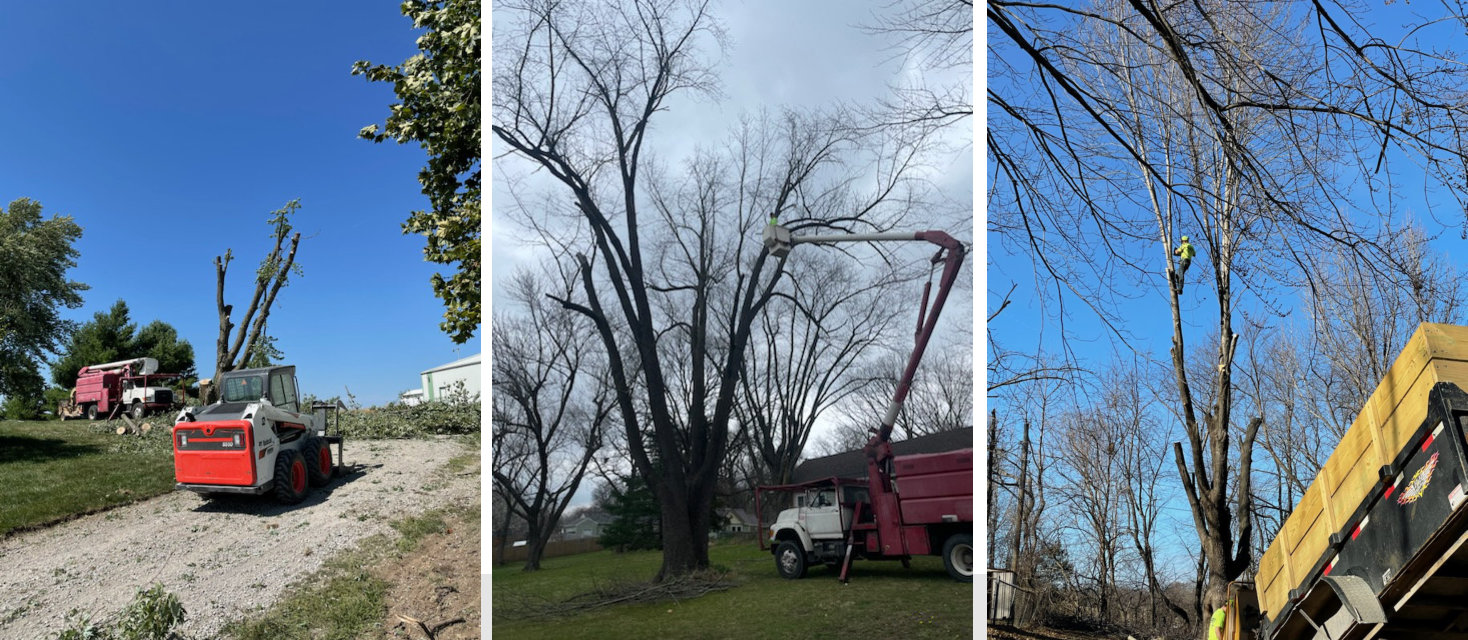 All Seasons Tree Care - A Smithville, Missouri Local Business