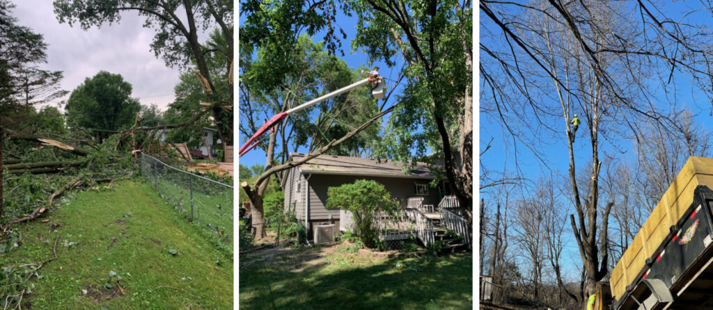 Trusted Tree Care Services for Holt, Missouri