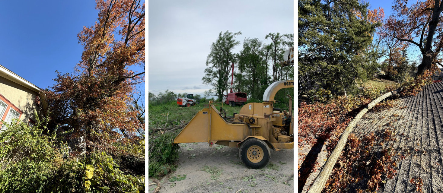 All Season Tree Care The Best Company for Tree Services in Ferrelview, MO