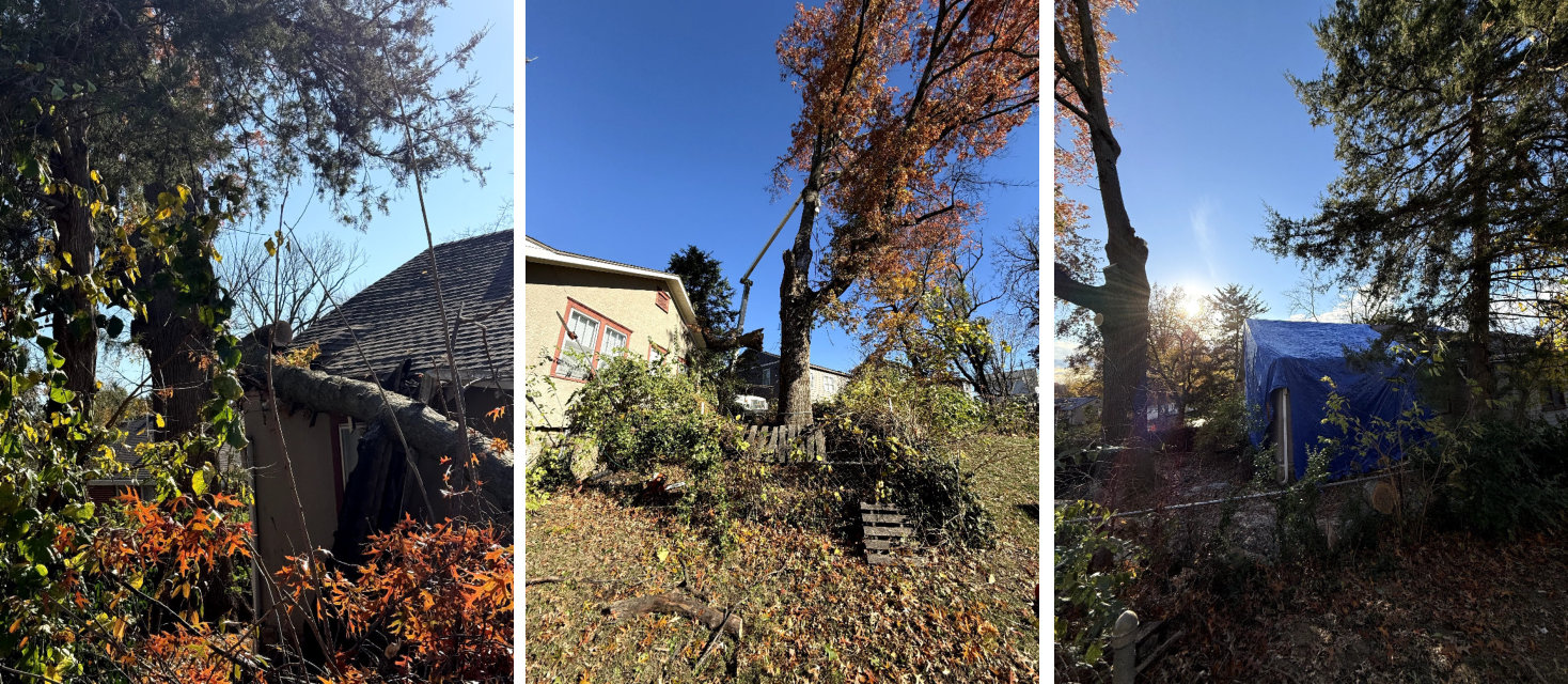 All Seasons Tree Care Serving Pleasant Valley, Missouri