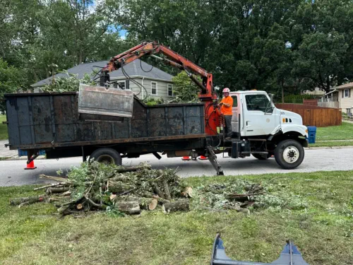 Storm Clean Up All Seasons Tree Care