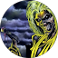 Matt R. Avatar