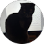 Sherwood L. Avatar