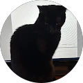 Sherwood L. Avatar